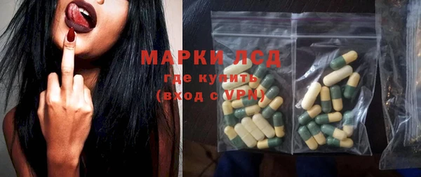 индика Лабытнанги