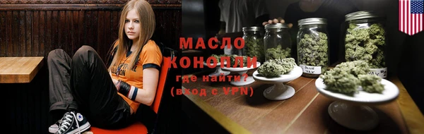 индика Лабытнанги