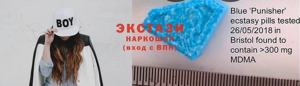 индика Лабытнанги