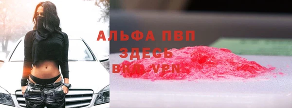 индика Лабытнанги