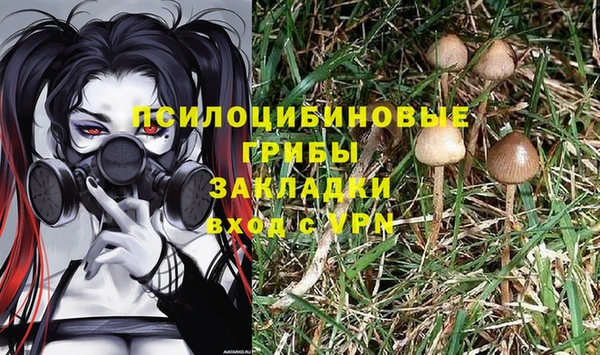 мескалин Ладушкин