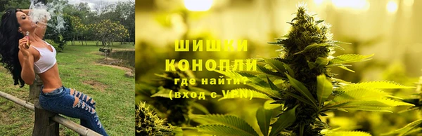 соль ск Няндома